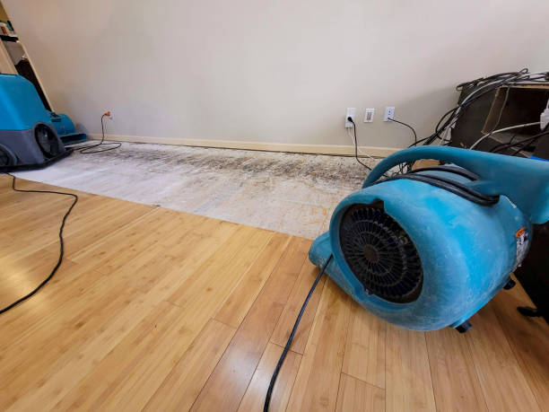 Professional Burst Pipe Water Damage technician working in Mechanicville, NY